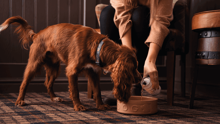 Dog drinking dog beer